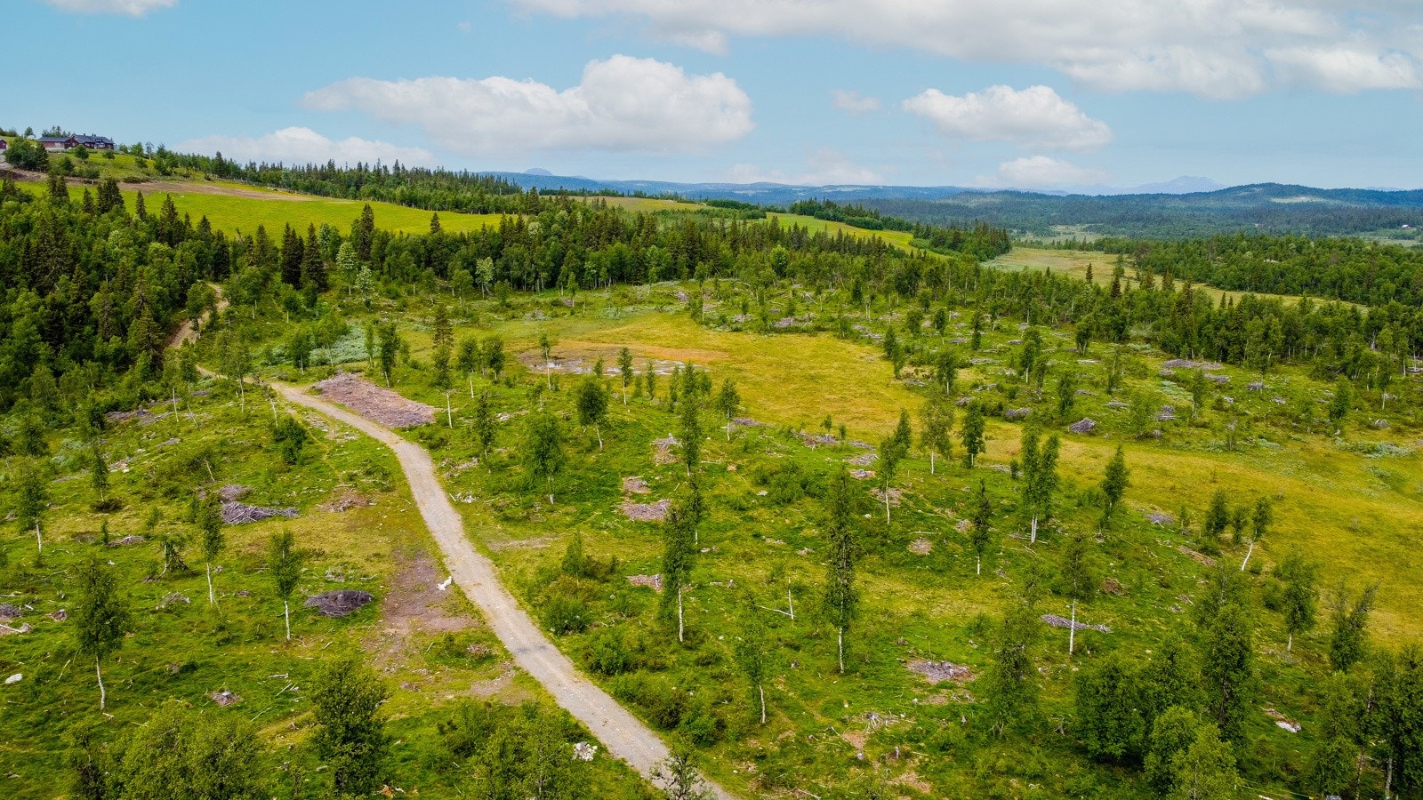 Delvis opparbeidet vei i hyttefeltet. Galleribilde
