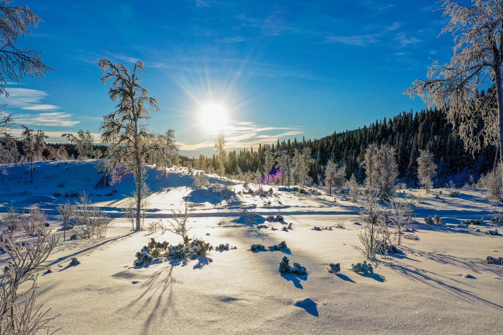 Området er en perle i norsk natur, med et fantastisk turterreng som passer godt for både store og små. Galleribilde