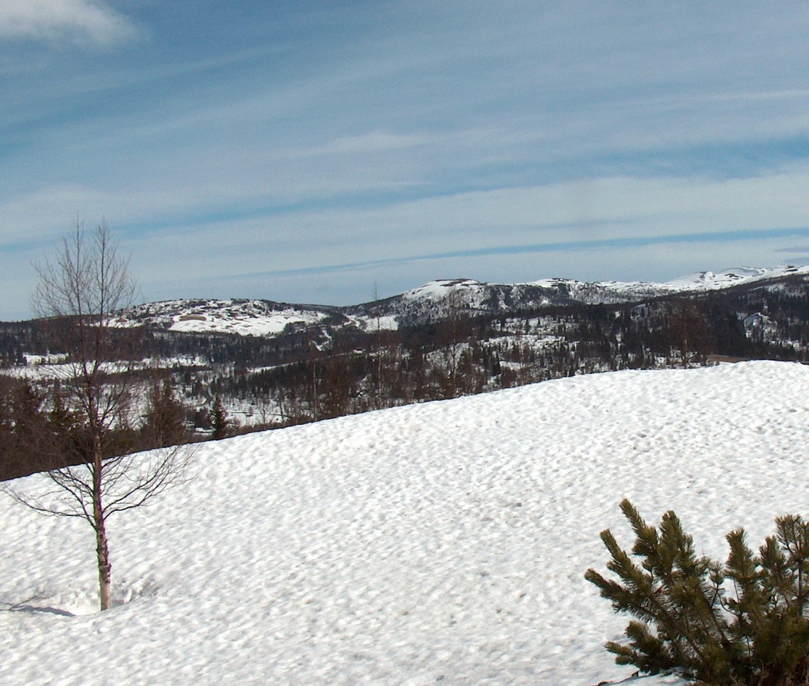 Våren i anmarsj Galleribilde