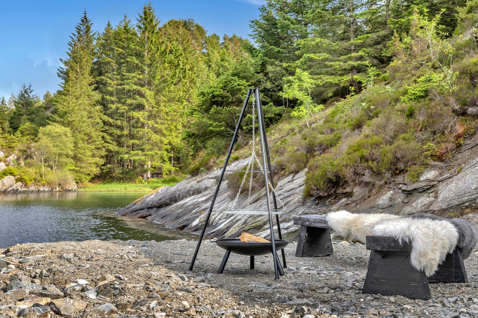 | Detaljbilde | Galleribilde