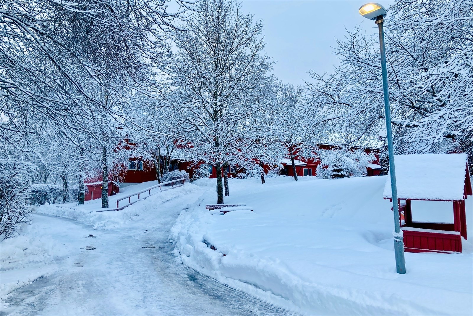 Vinteridyll Galleribilde