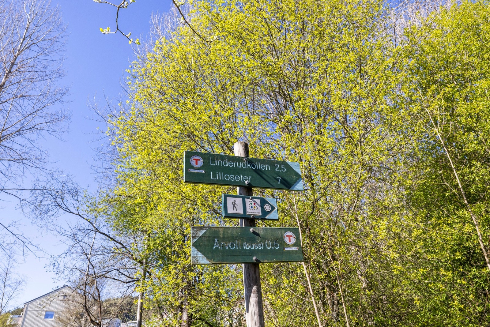 Kort vei til marka Galleribilde