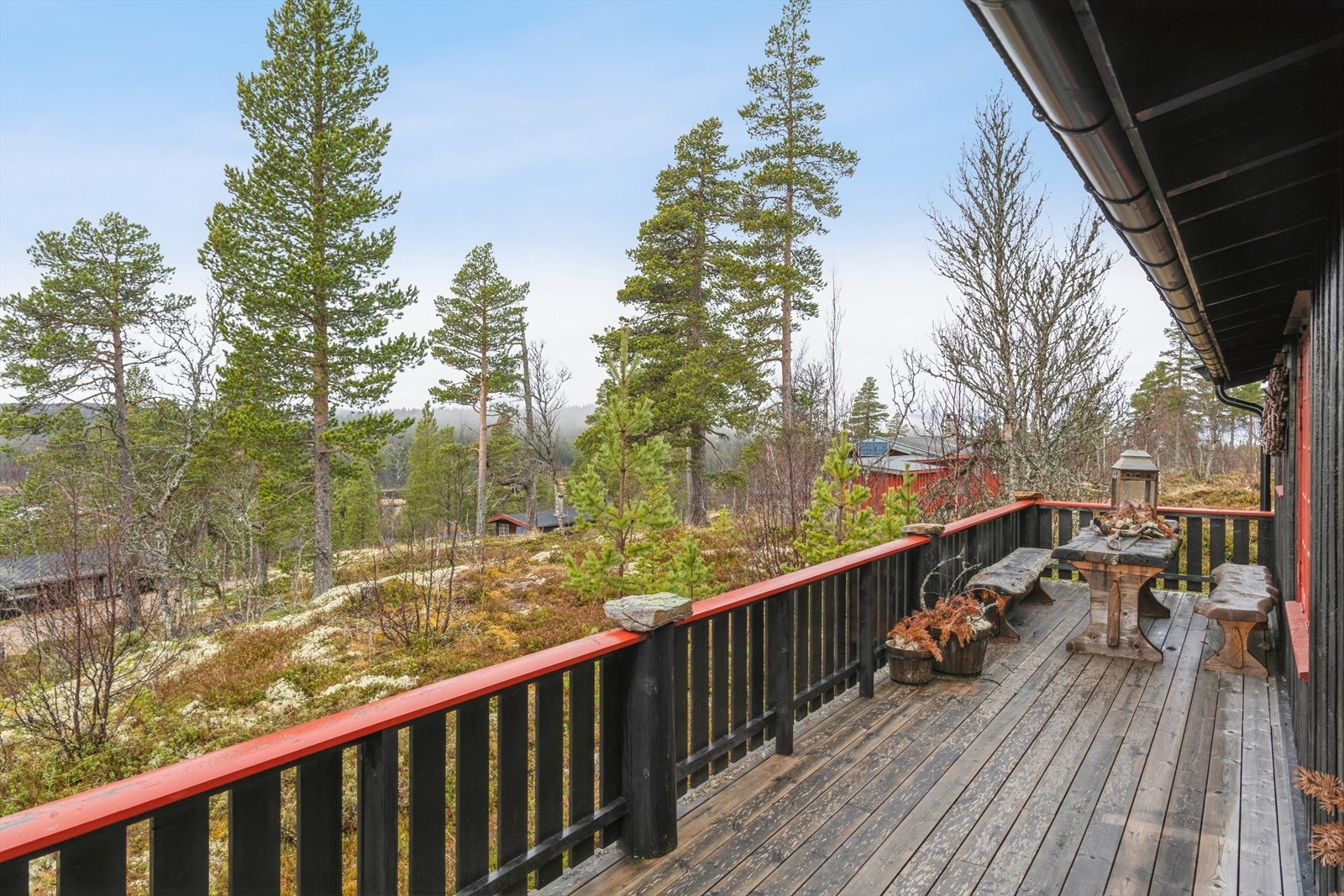 Terrasse. Galleribilde