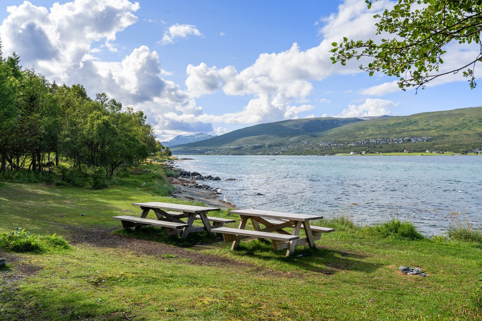 Hamneneset er kjent for sin lille oase nede ved havet, hit tar det ca 1-2 minutt å gå. Her er det etablert brygge, benker og flotte areal til å leke eller nyte fritiden sin.