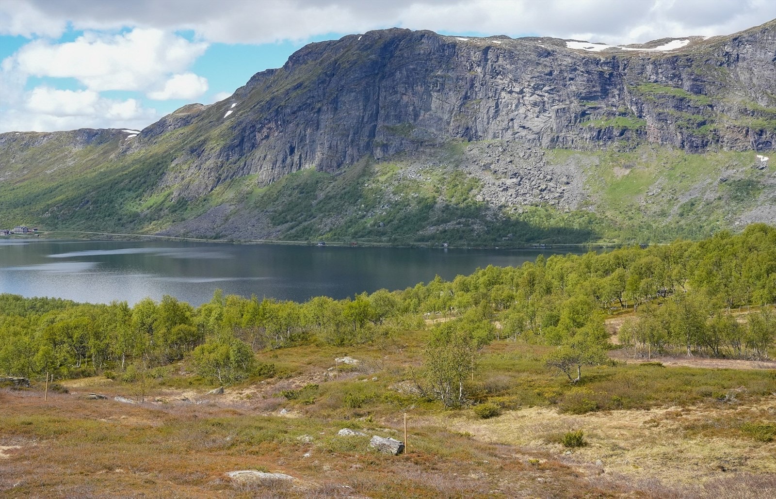 Tomtene er merket med stolper. Se tomtevelger for beliggenhet og priser. Galleribilde