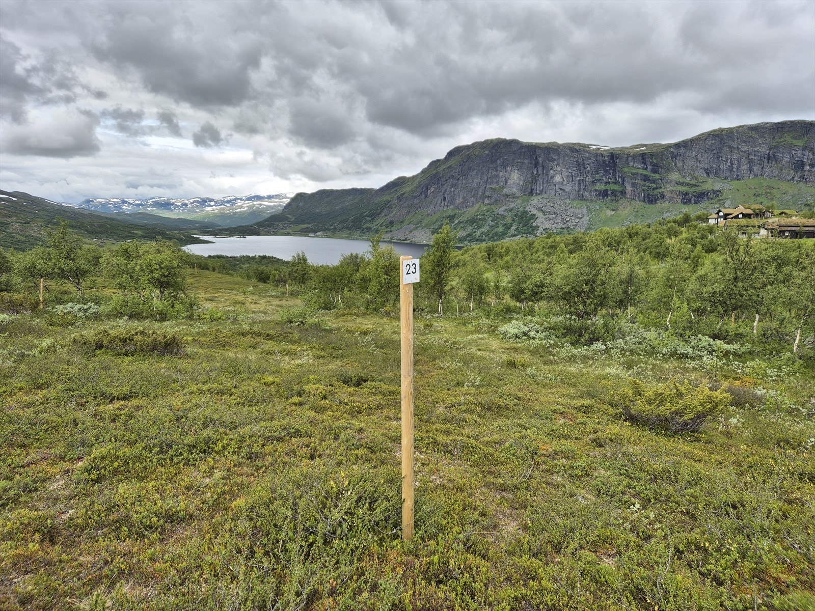 Tomt 23: Kr. 2 600 000,- Galleribilde