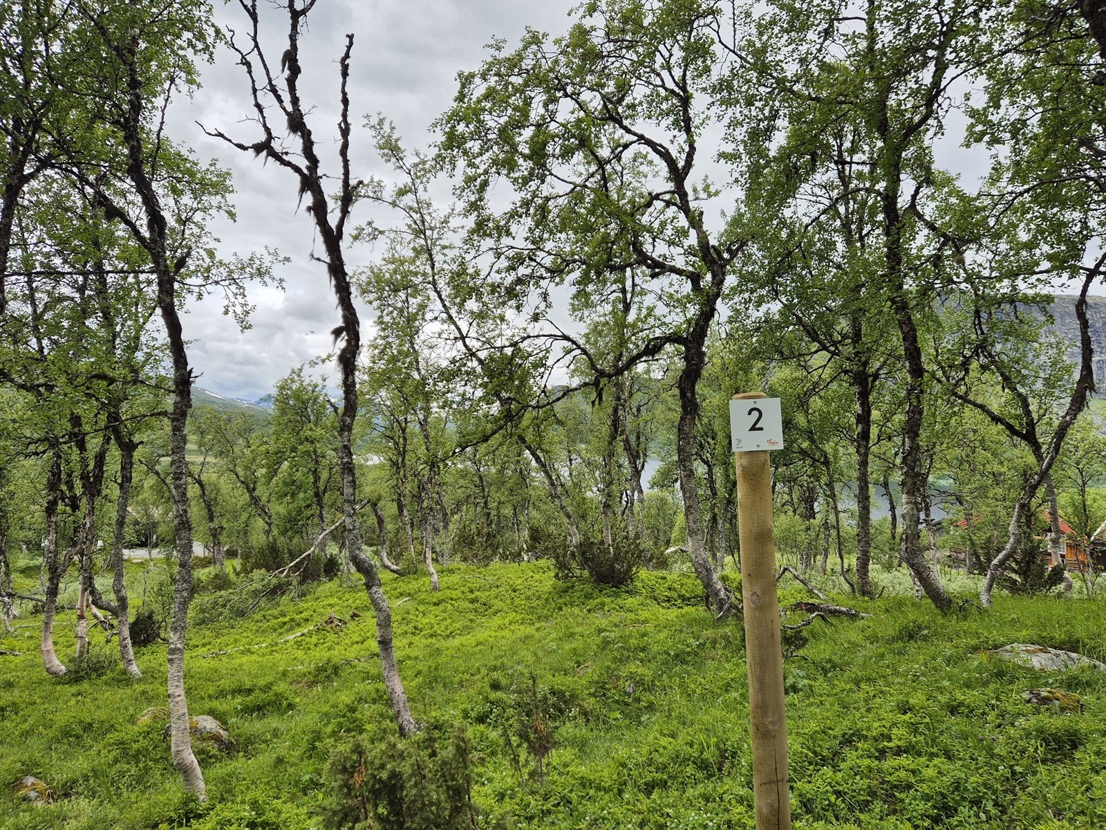 Tomt 2: SOLGT! Galleribilde