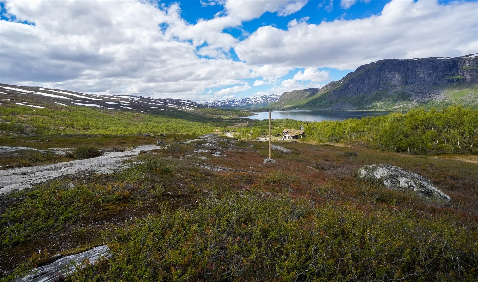 Tomtene er merket med stolper. Se tomtevelger for beliggenhet og priser. Galleribilde