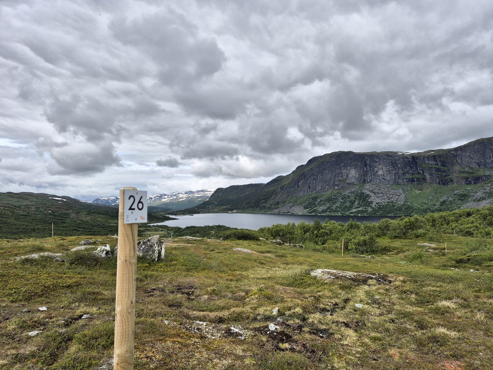 Tomt 26: Kr. 2 600 000,- Galleribilde