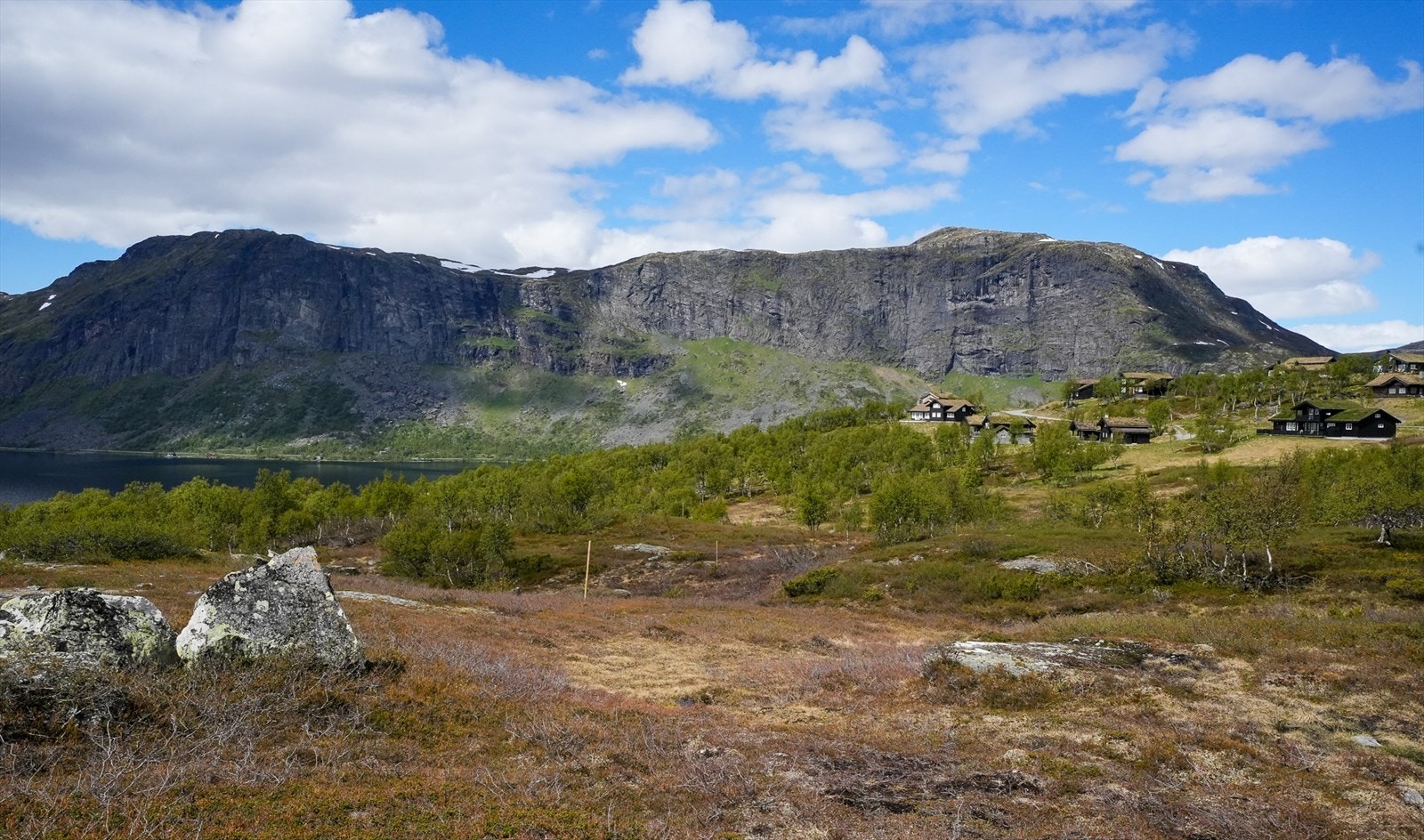Merkede tomter. Galleribilde