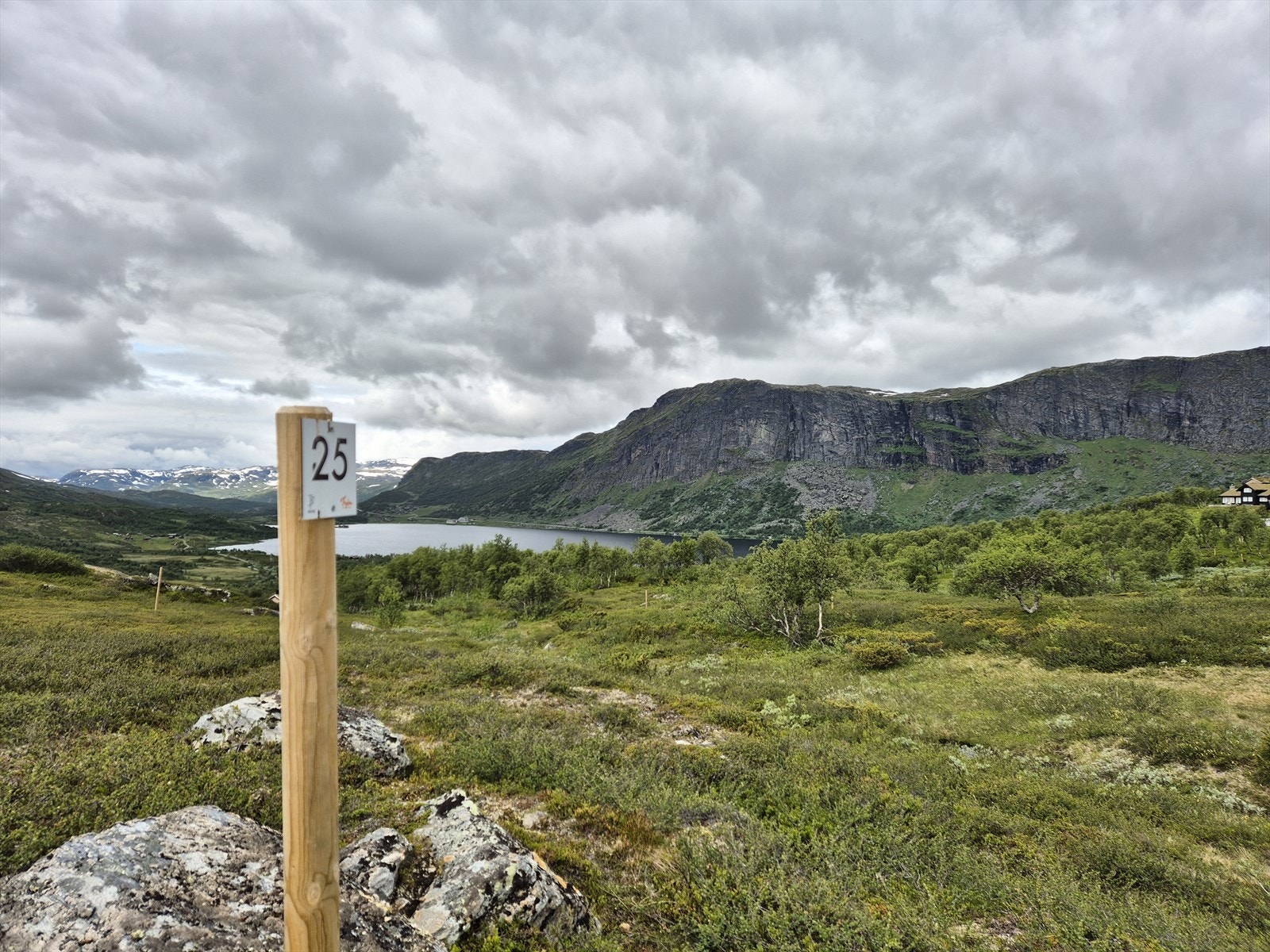 Tomt 25: Kr. 2 600 000,- Galleribilde