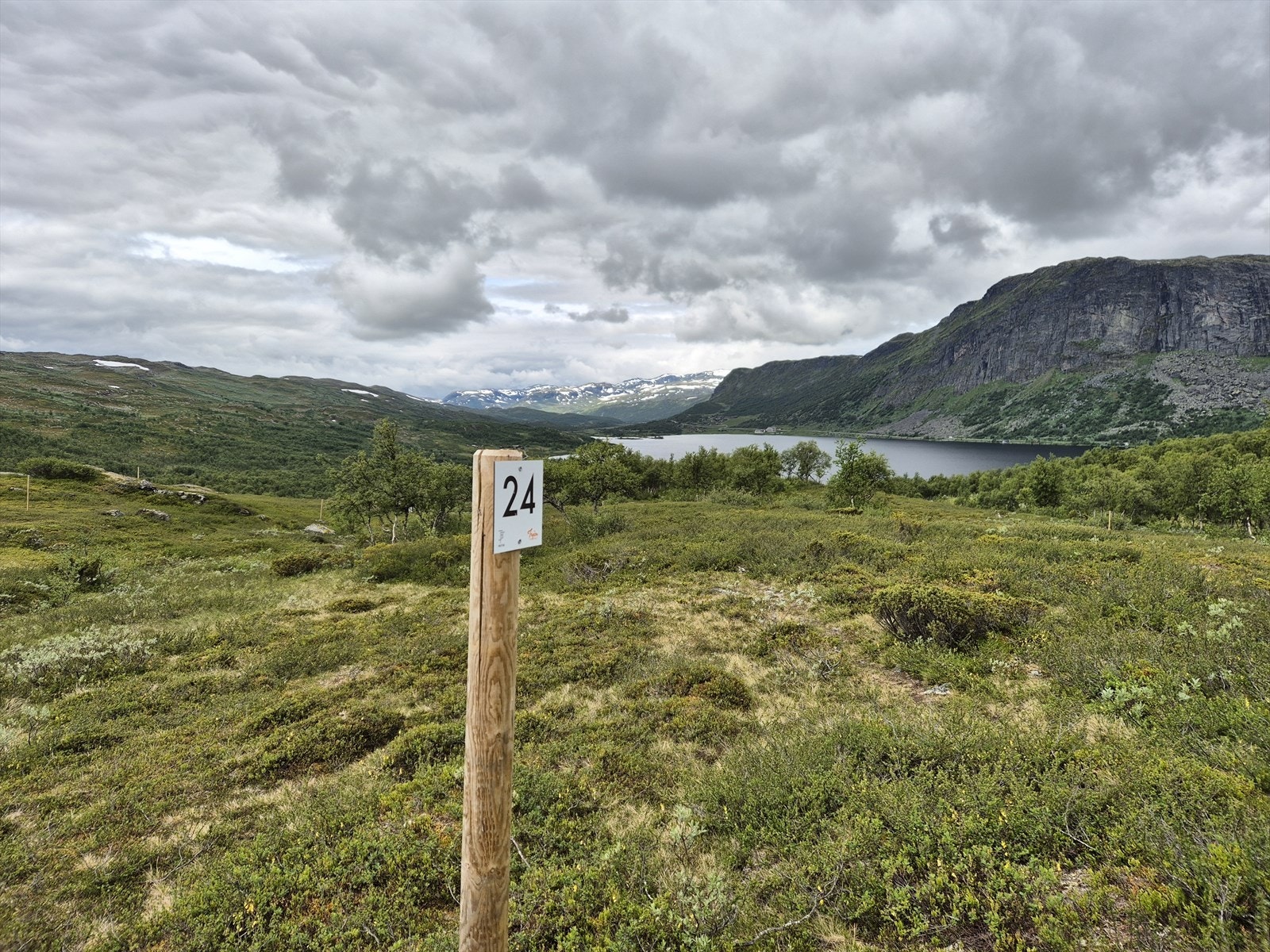 Tomt 24: Kr. 2 600 000,- Galleribilde