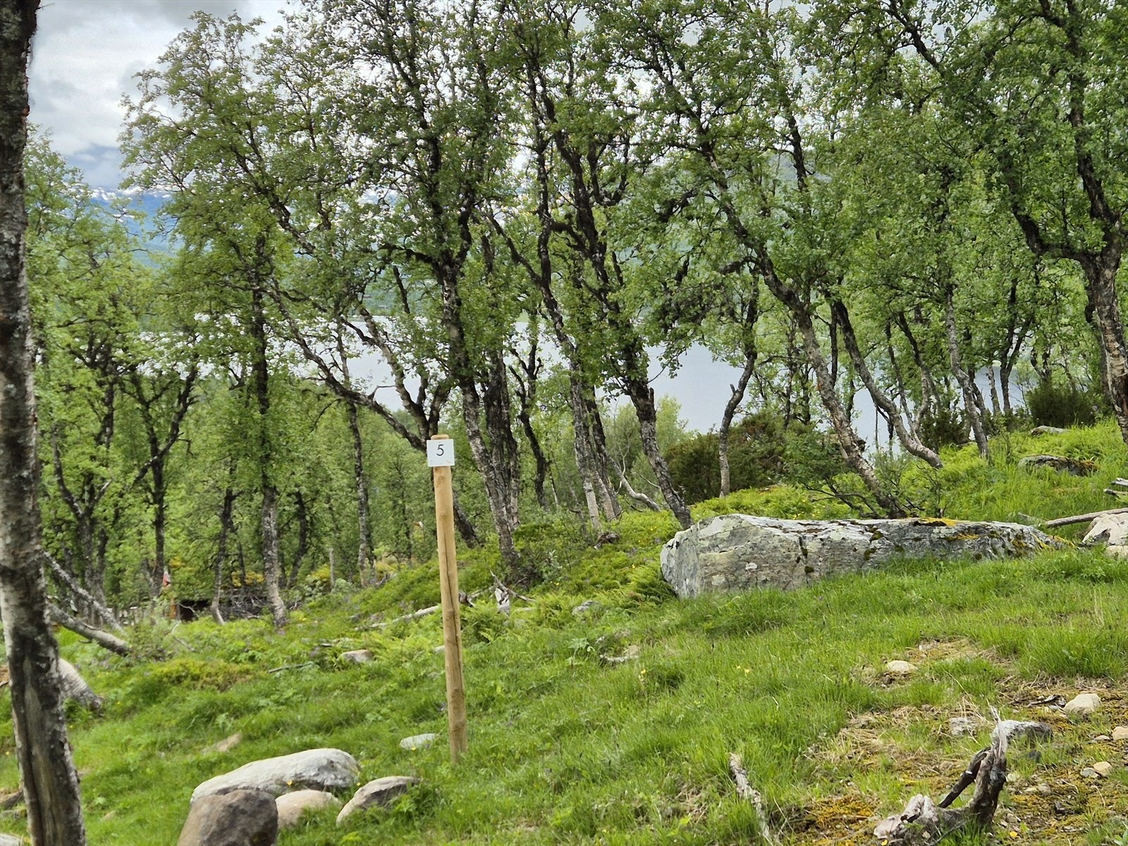 Tomt 5: Kr. 1 550 000,- Galleribilde