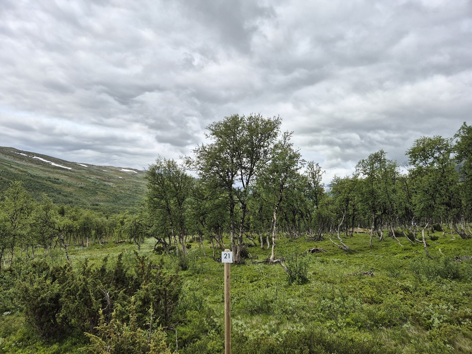 Tomt 21: Kr. 1 950 000,- Galleribilde