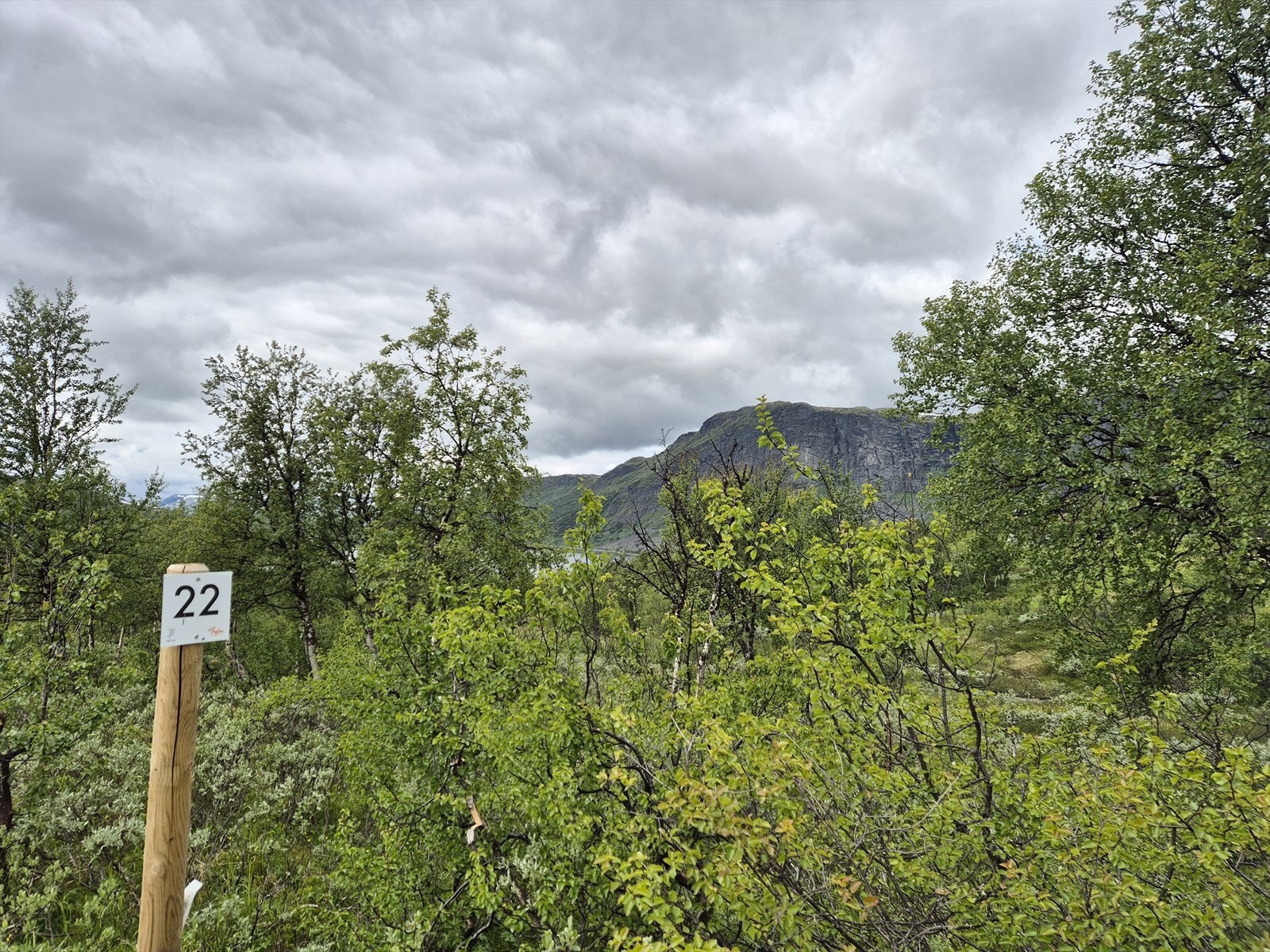 Tomt 22: Kr. 2 800 000,- Galleribilde