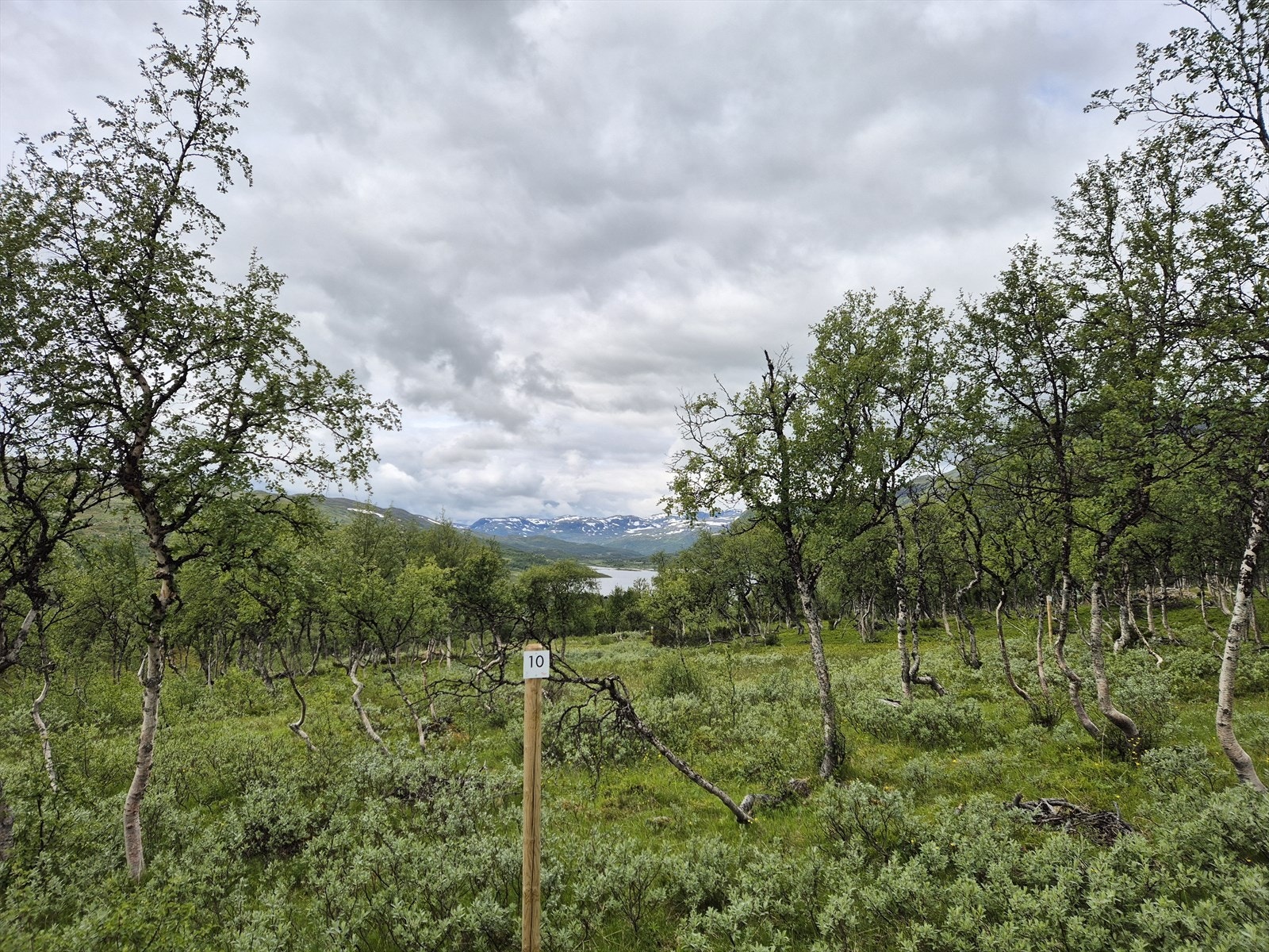 Tomt 10: Kr. 1 700 000,- Galleribilde