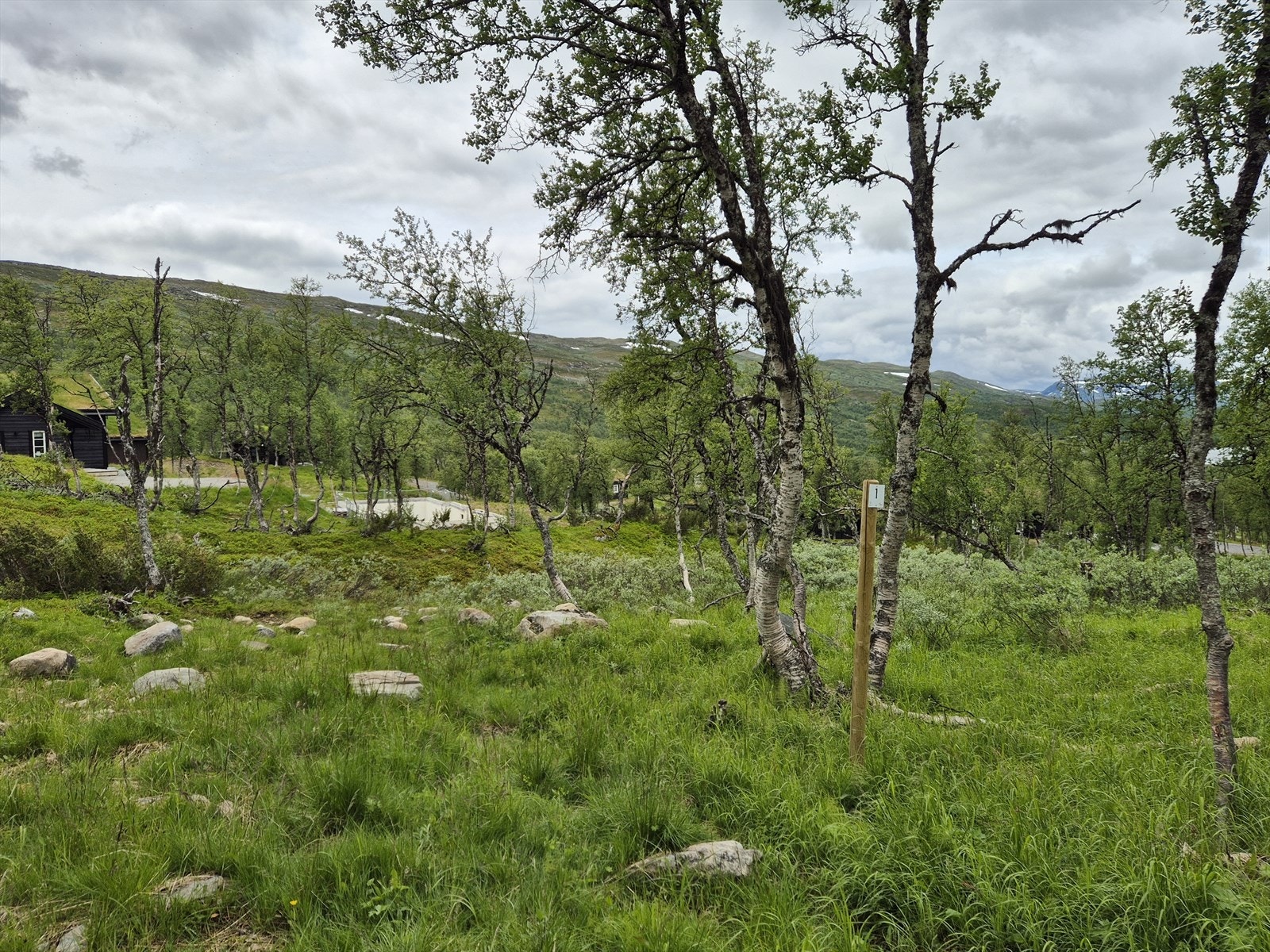 Tomt 1: Kr. 1 700 000,- Galleribilde