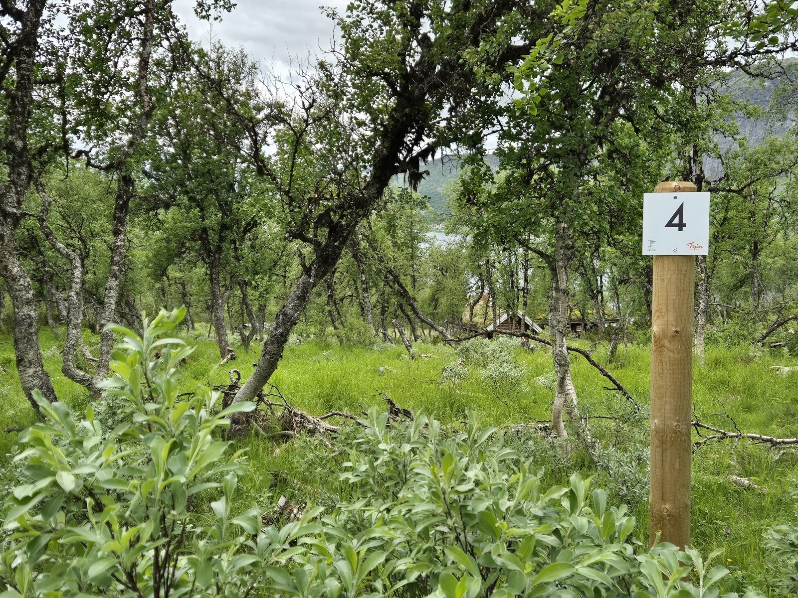 Tomt 4: Kr. 1 750 000,- Galleribilde