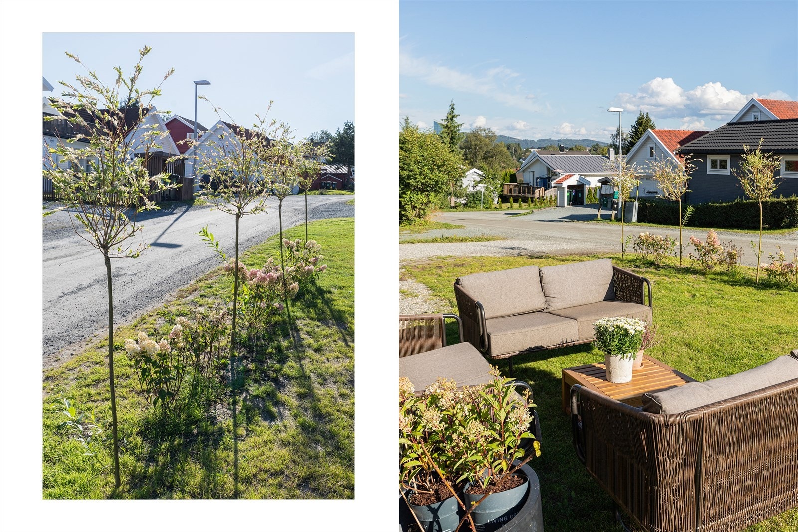 Sørvendt og solrik hage Galleribilde