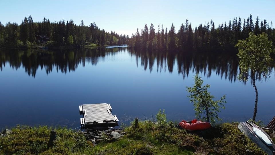 (Selgers foto) Galleribilde