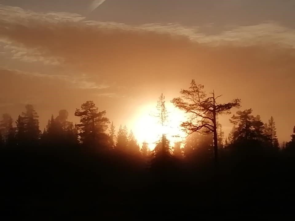 (Selgers foto) Galleribilde