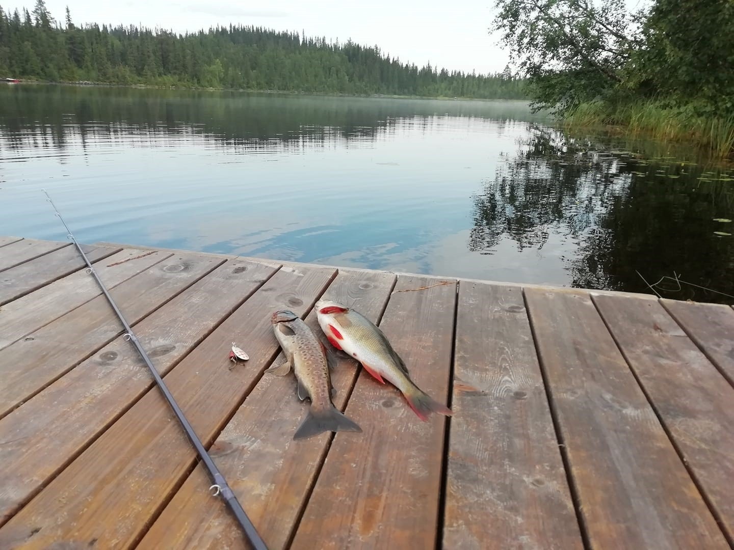 Ekstra stas blir det når en får napp! (Selgers foto) Galleribilde