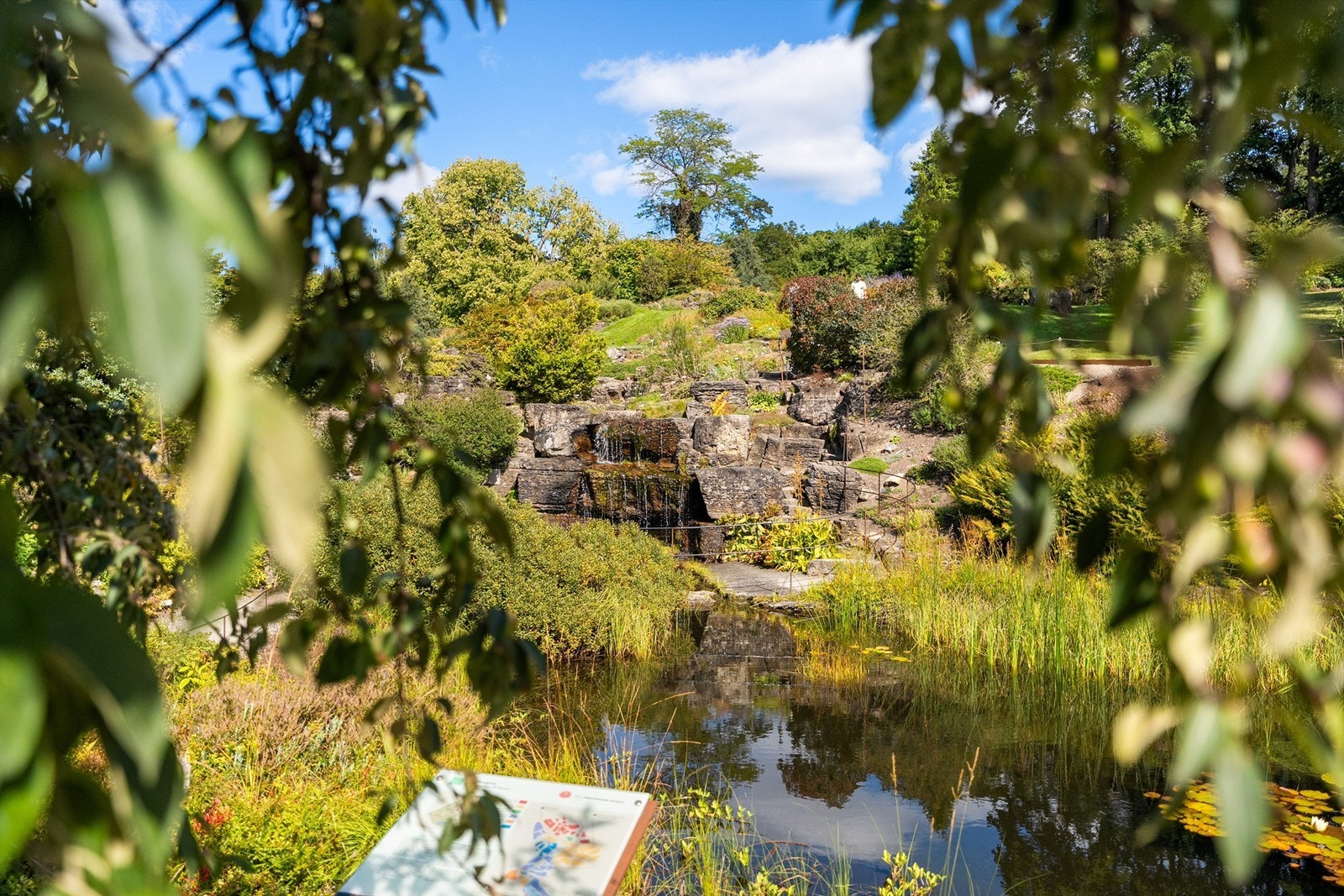 Botanisk hage er bare et steinkast unna. Galleribilde