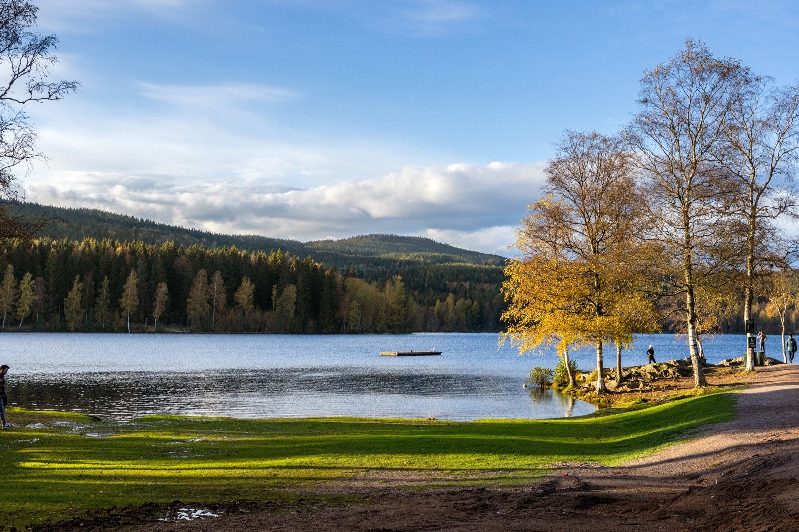 Sognsvann Galleribilde