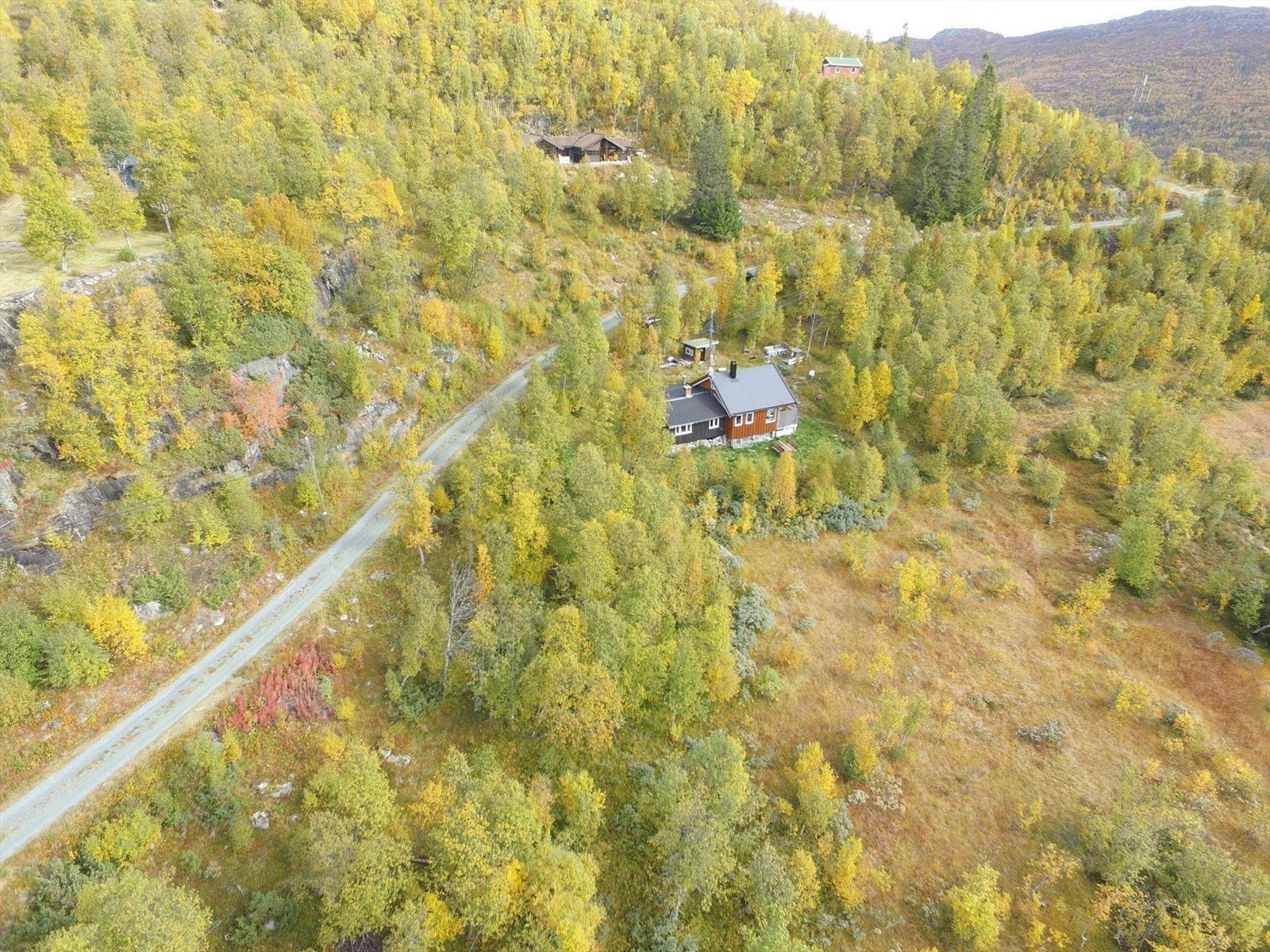 -Selgers private bilde- Galleribilde