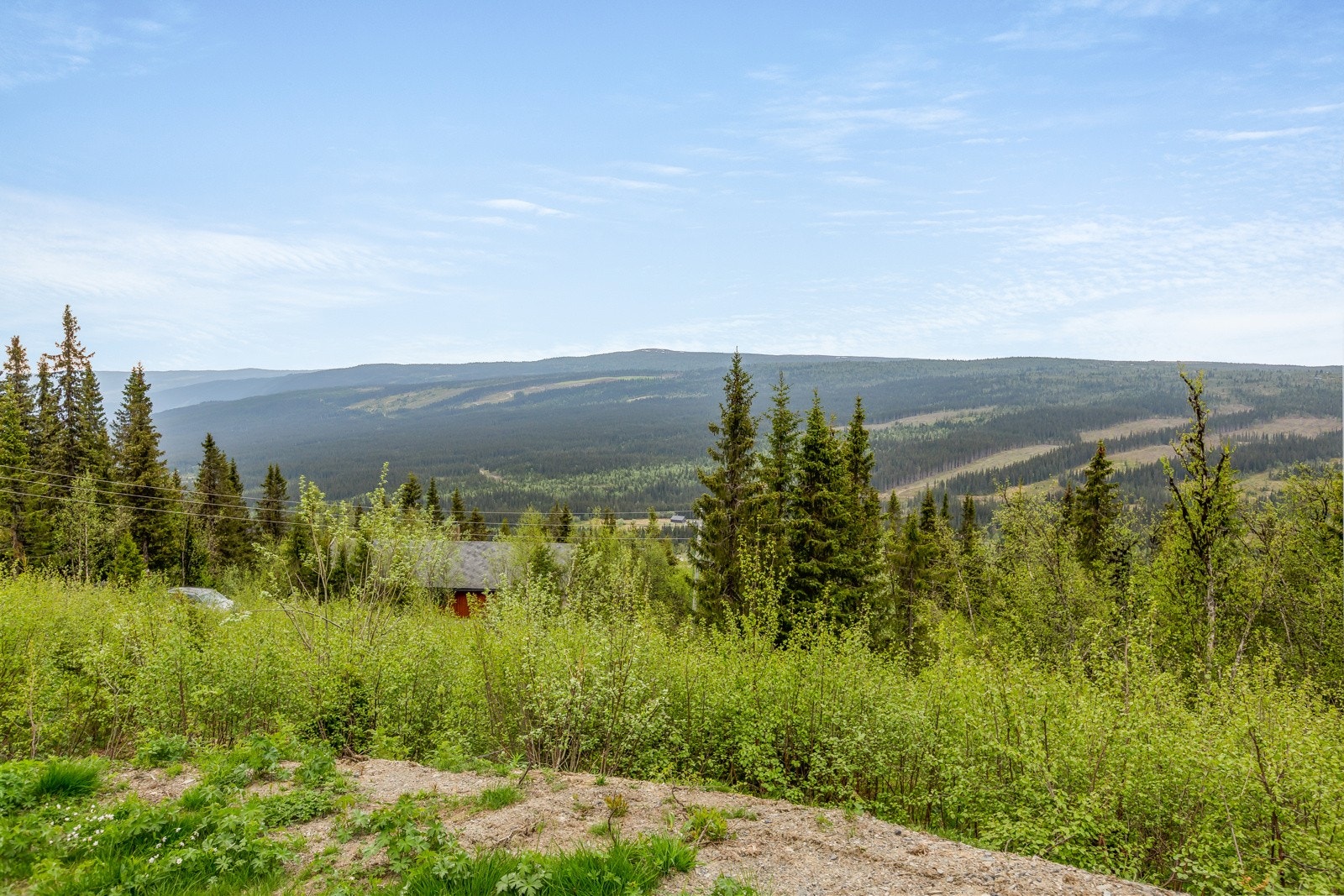 Bygningene som oppføres på tomtene skal være i tradisjonell stil og med saltak. Galleribilde