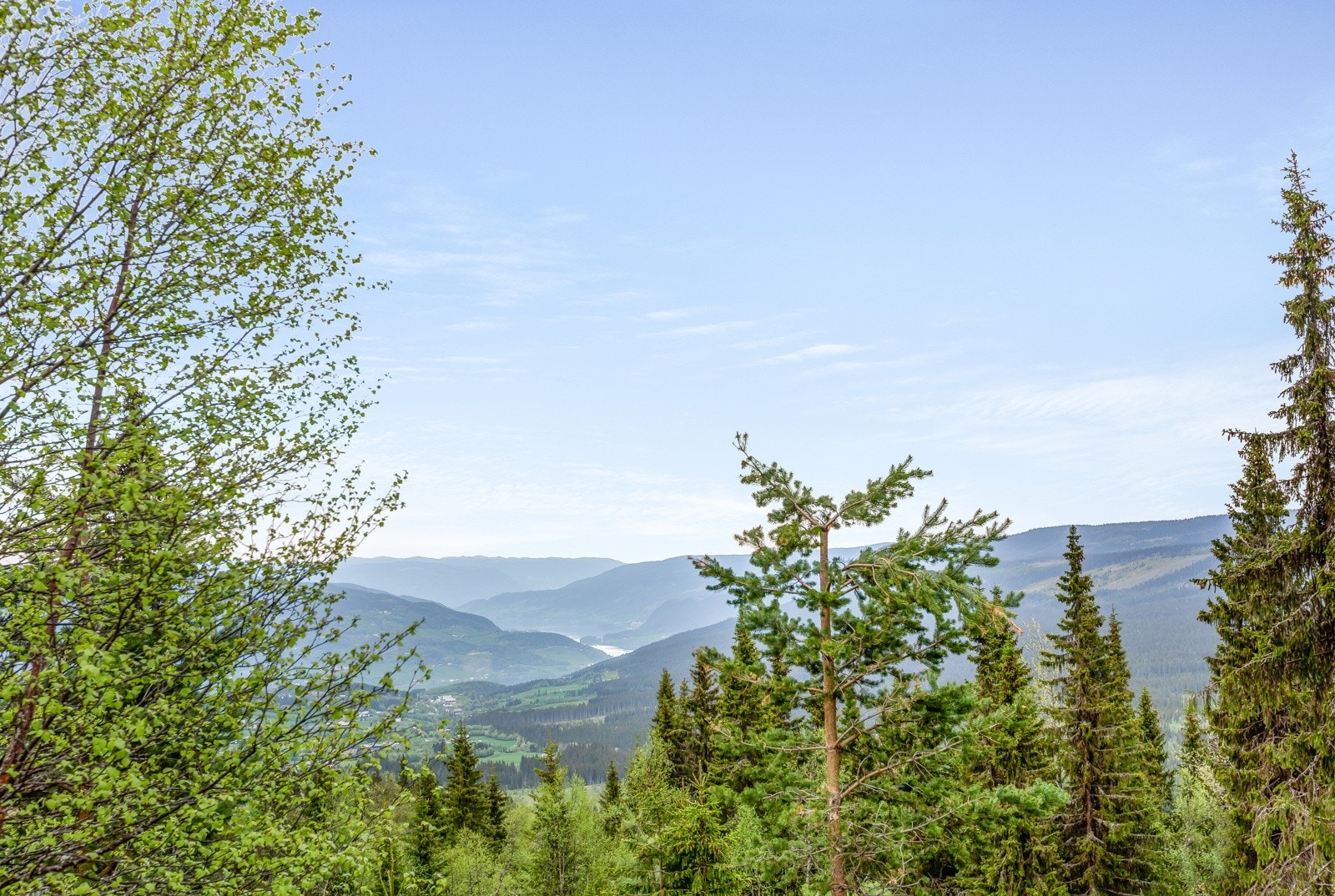 Her finner du to fine naturtomter solrikt beliggende med utsikt utover dalen, mot mot Øystre Slidre, Strandefjorden, Synet og Gomobu. Galleribilde