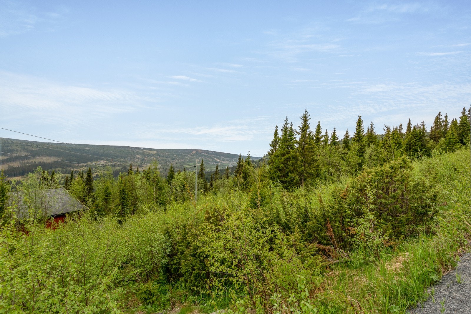 Med hytte her kan en glede seg til aktive dager i flott natur. På Vaset er det også flere hyggelige spisesteder, Jokerbutikk med et meget bredt vareutvalg, Intersportforretning m.m. Galleribilde