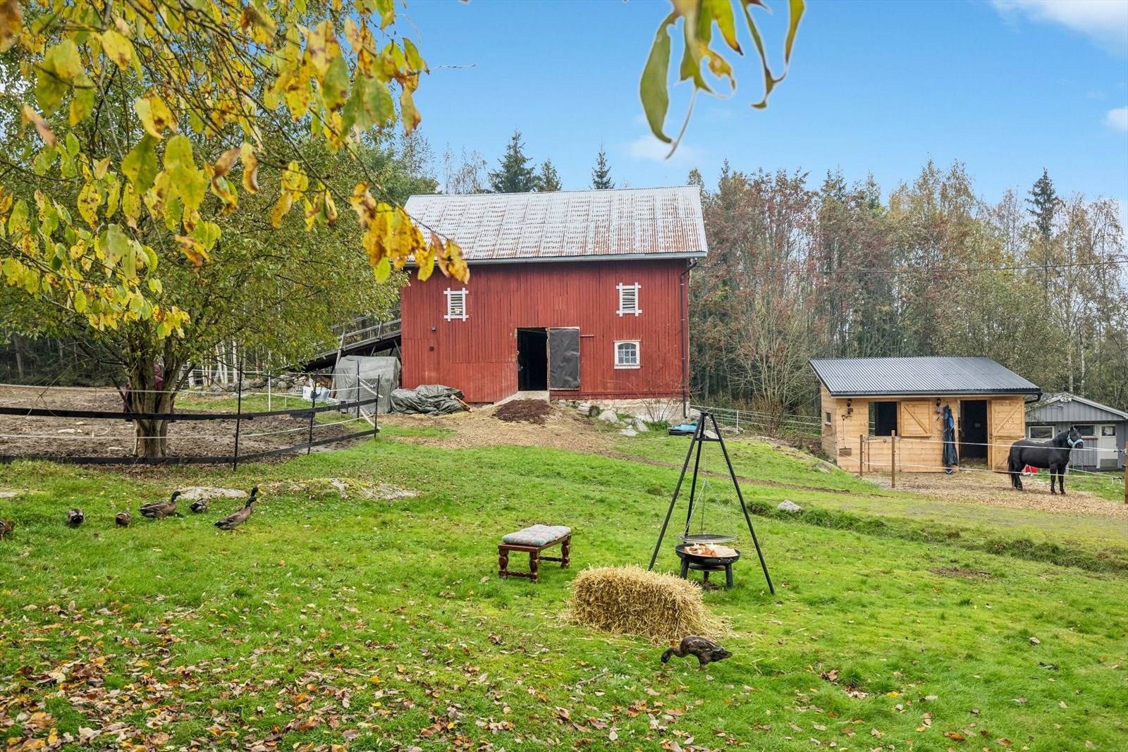 I den nyere stallen til høyre i bildet er det ytterligere to stallplasser. Galleribilde