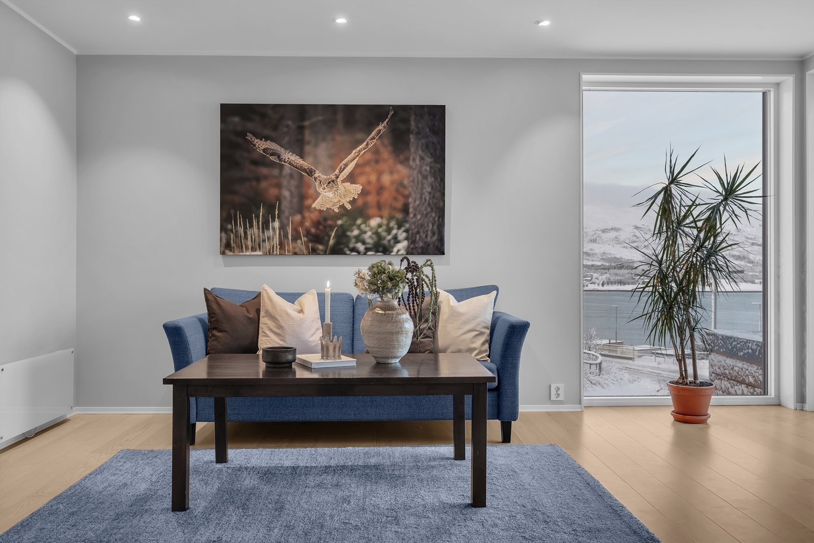 IW0A7376.jpg Galleribilde