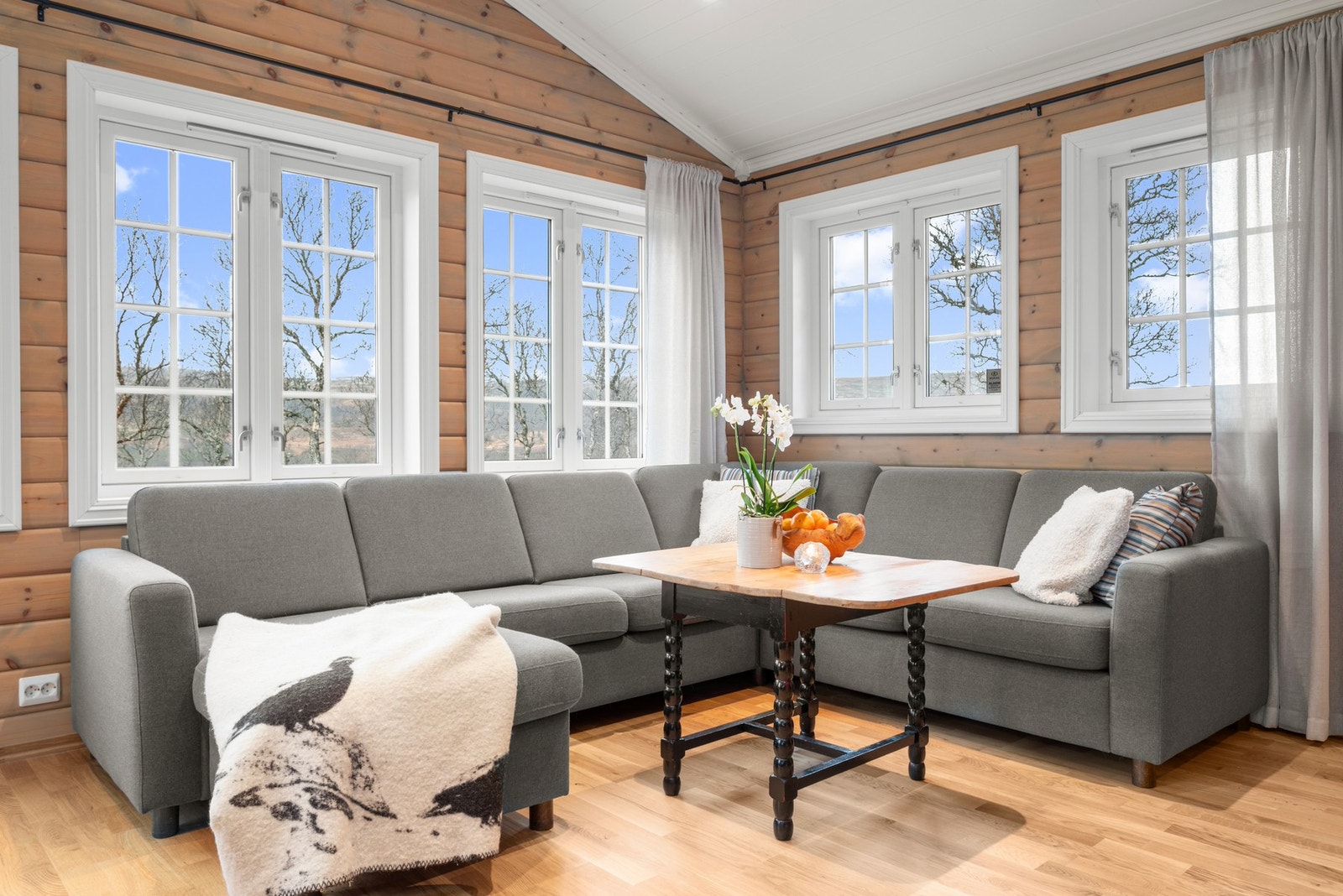 Stuen gir rom for flere gode møbleringsmuligheter. Galleribilde