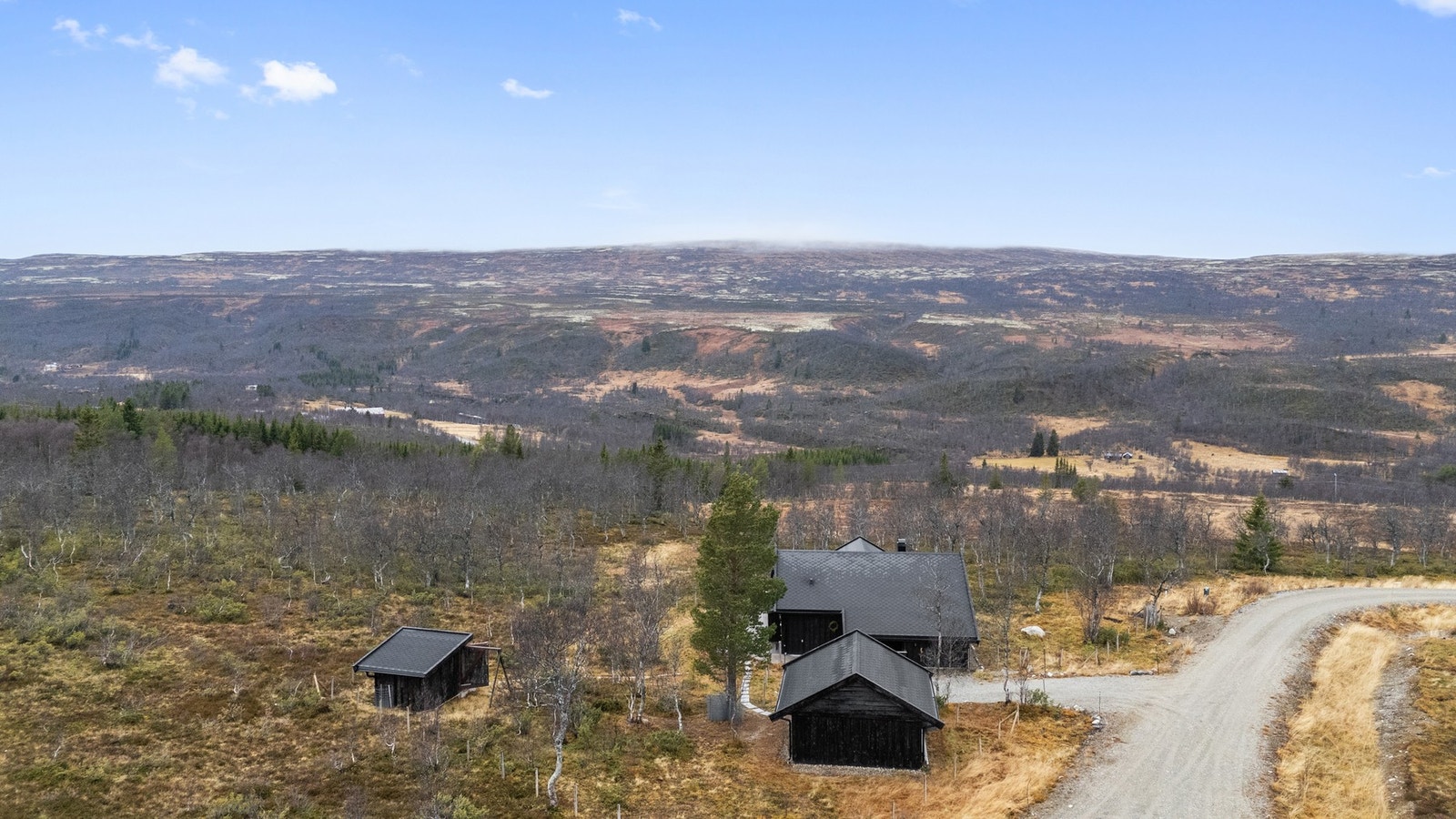 Velkommen til en hyggelig visning! Galleribilde