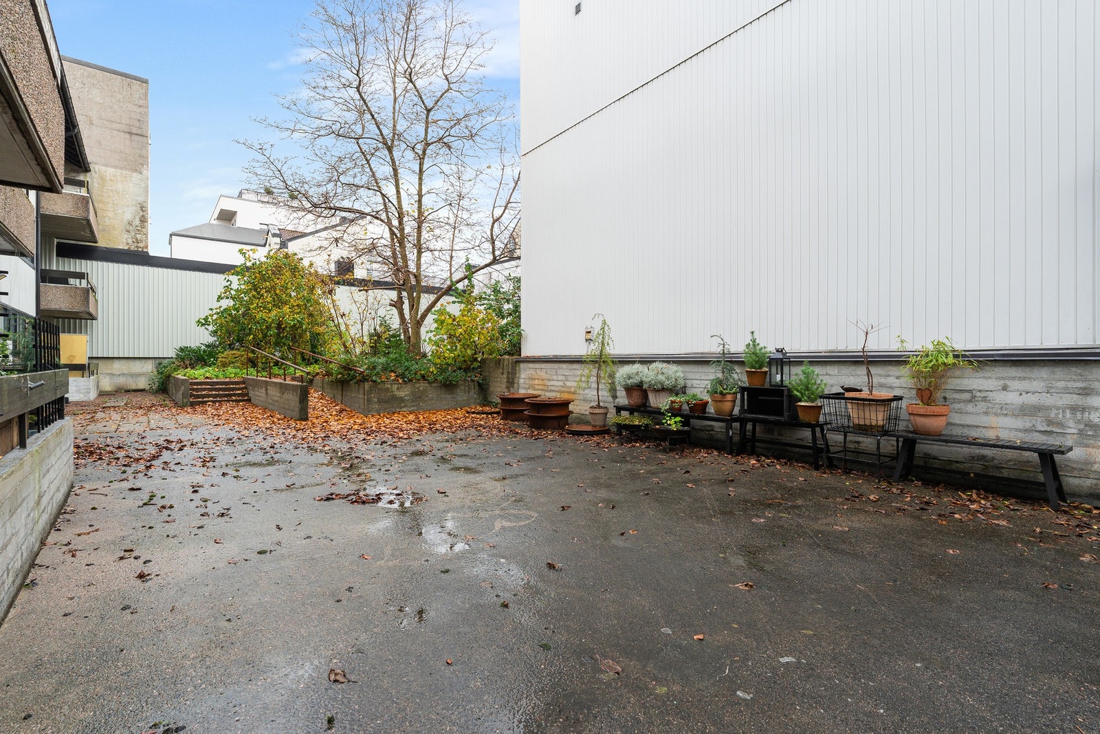 Felles bakgård Galleribilde