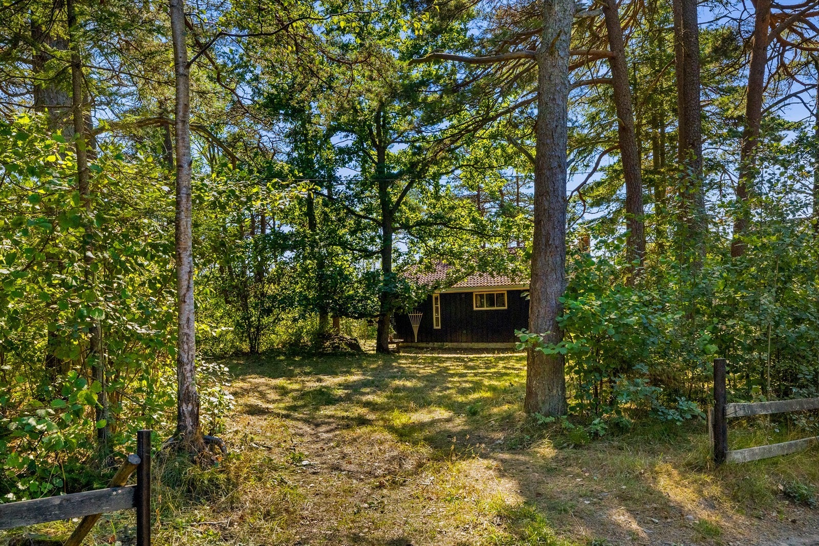 Innkjøring til hytta - godt med parkering til biler Galleribilde