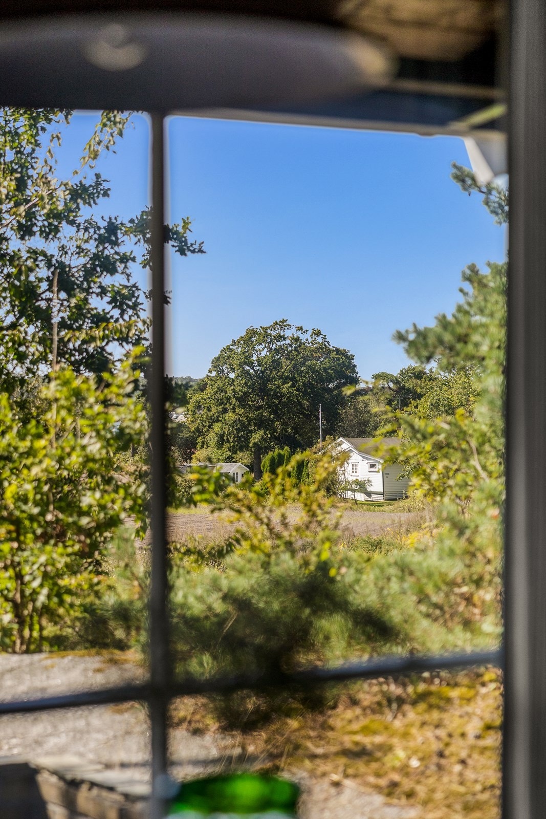 Utsikten fra stua Galleribilde