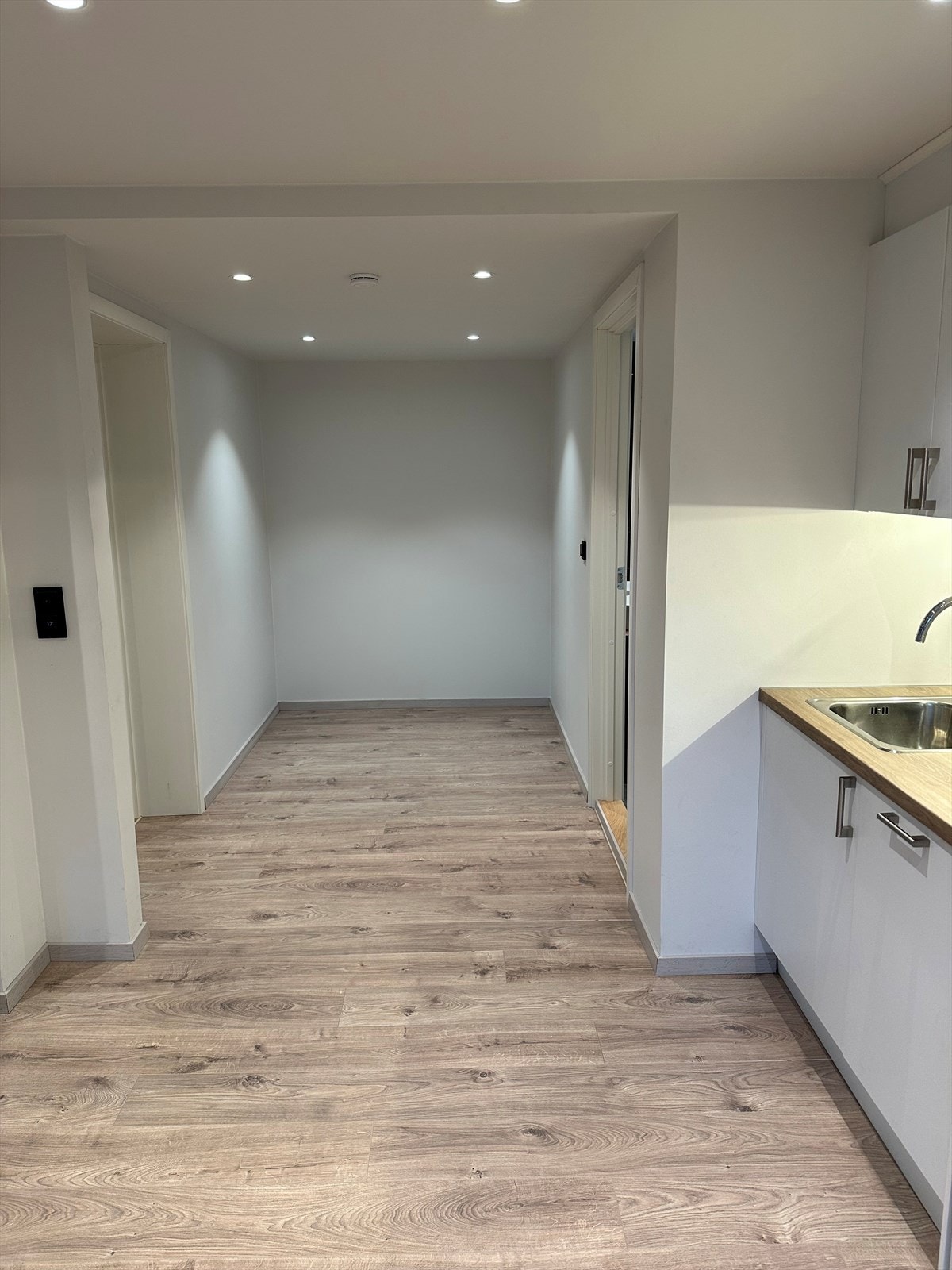 Selgers private bilder. Galleribilde