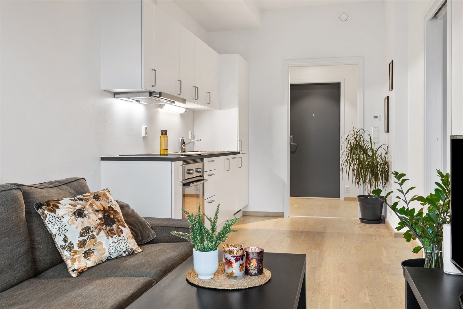 Fin tv-plass. Galleribilde