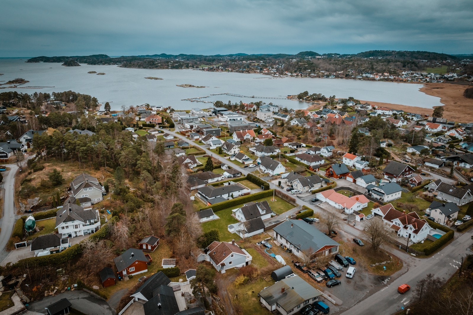 Solløkka er en perle om sommeren Galleribilde