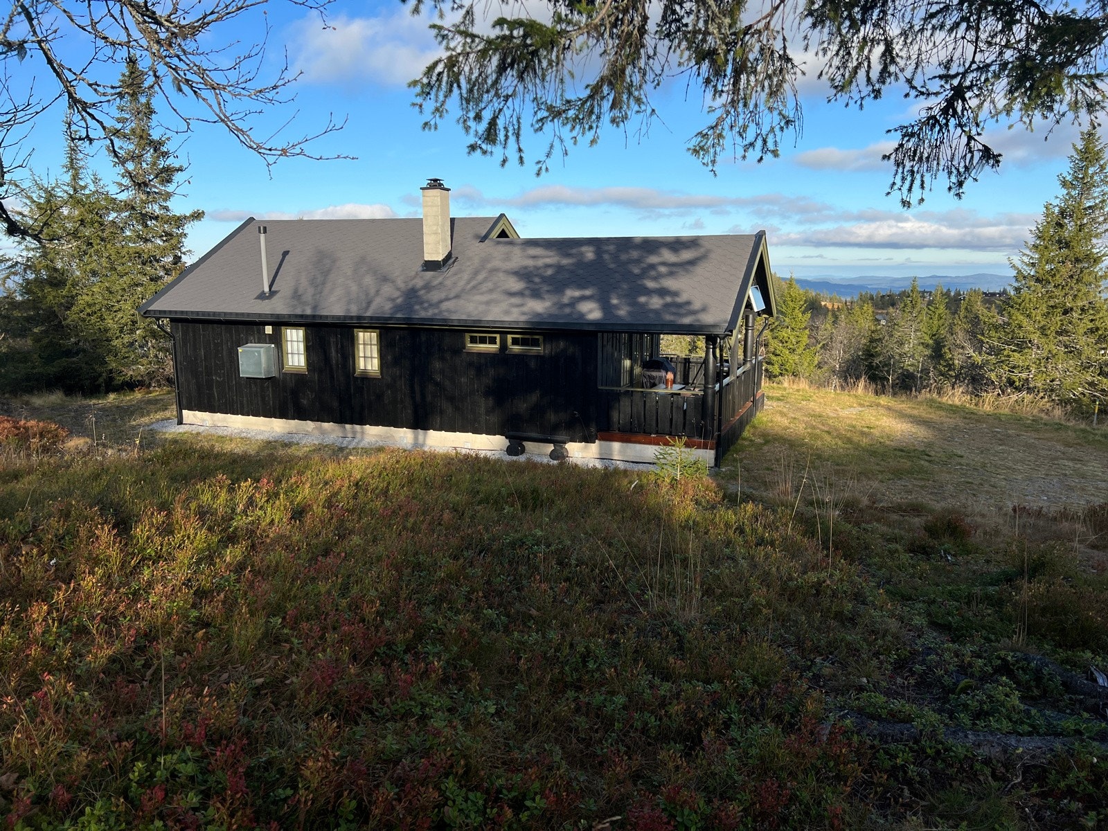 Bilde fra selgers arkiv. Galleribilde