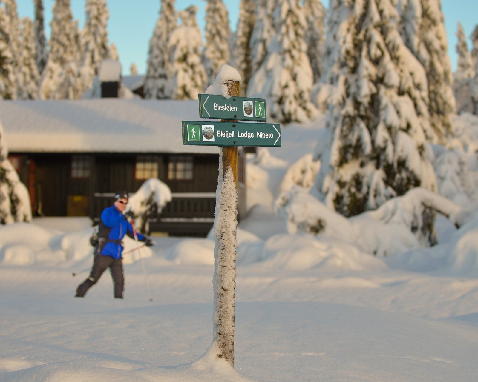 Det er mer enn 180 km med oppkjørte skispor på Blefjell Galleribilde