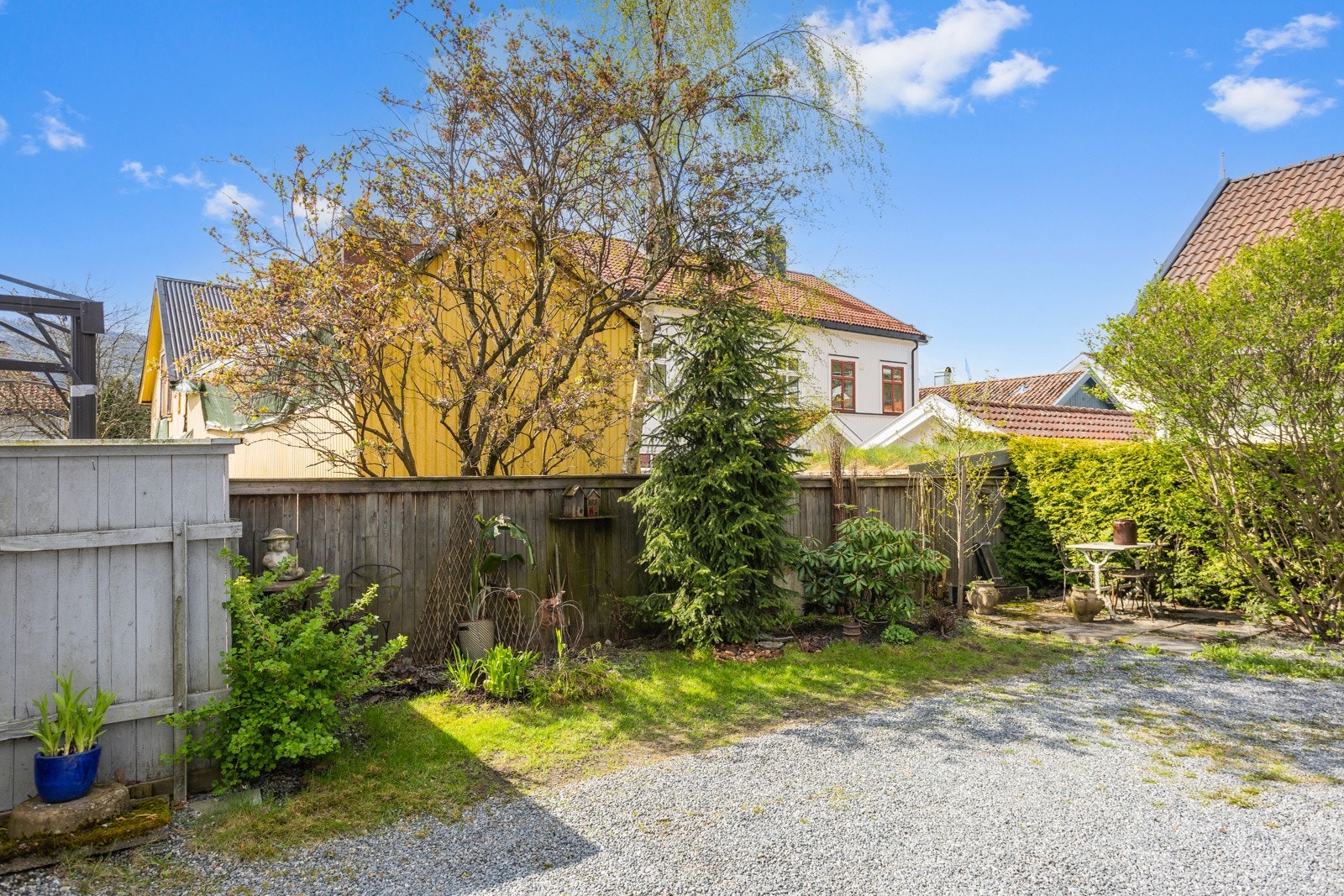 Felles hageflekk. Galleribilde