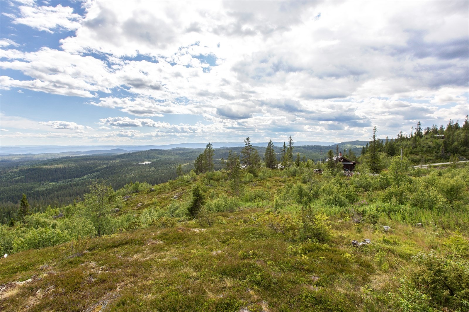 For det er ikke mange steder utsikten er så vid som nettopp her! Galleribilde