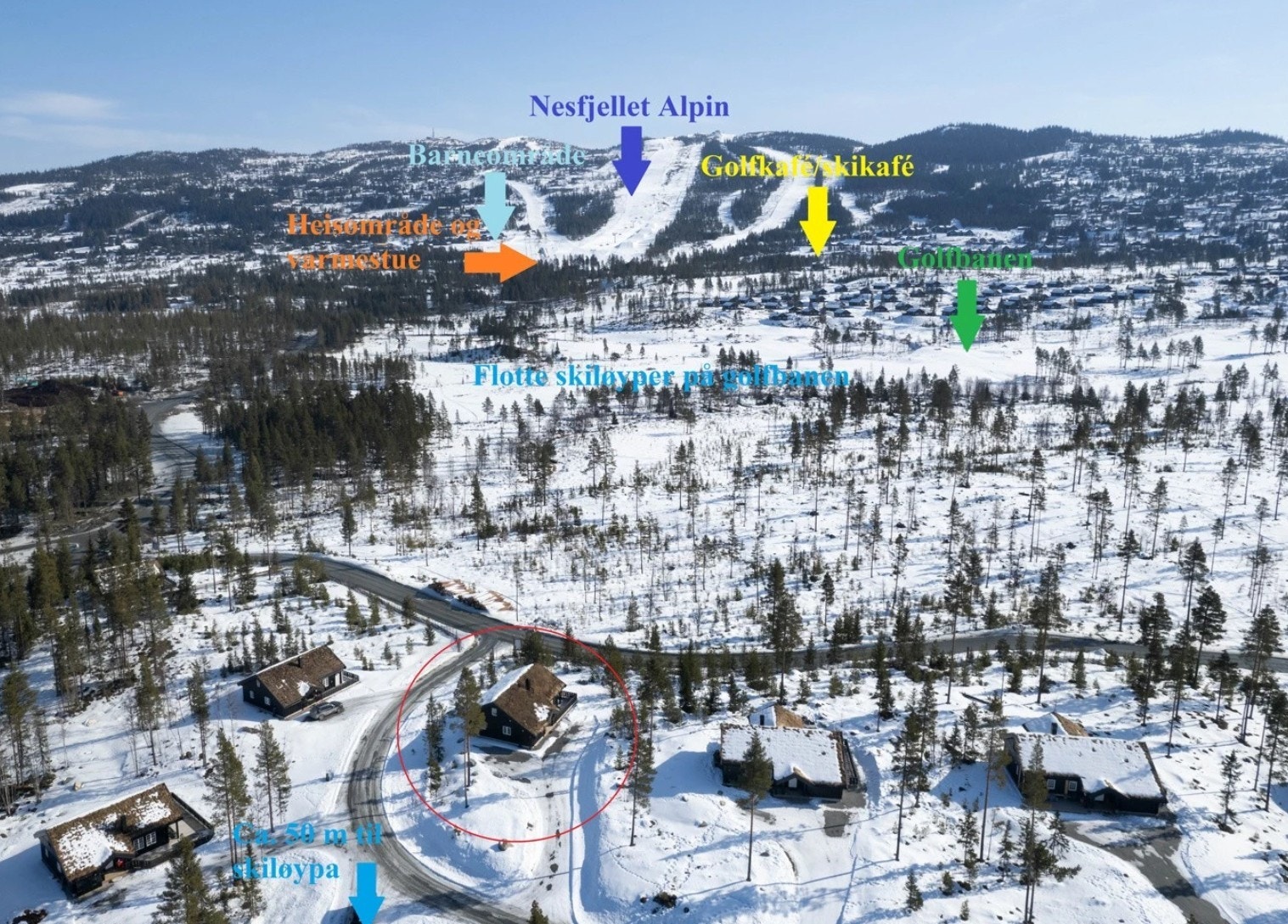 Område Galleribilde