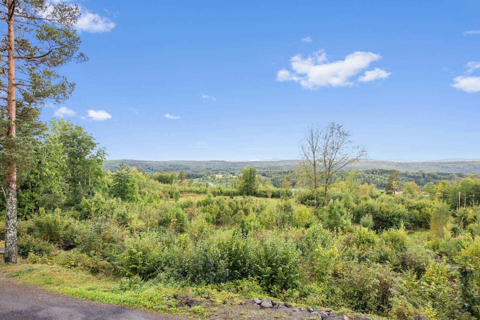 Boligen byr på masse sol, flott utsikt og marka rett utenfor døren. Galleribilde