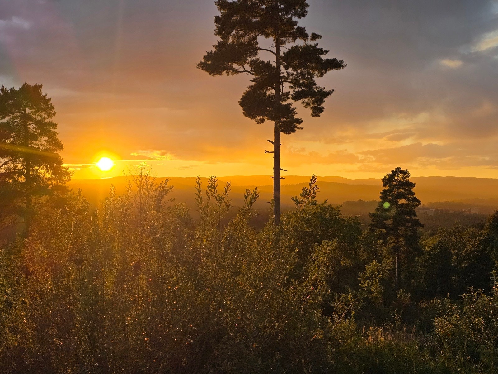 Flotte solnedganger. Galleribilde