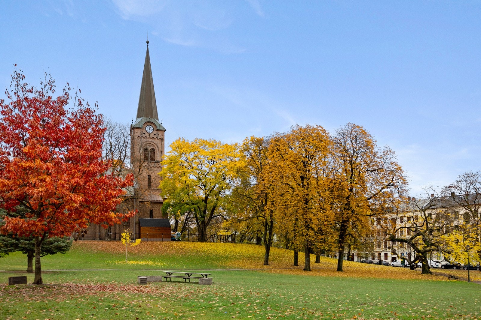 Høststemning i Sofienbergparken Galleribilde